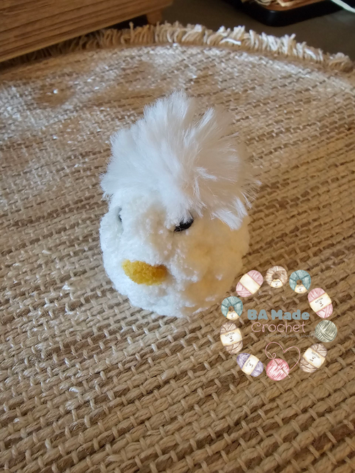 Baby Chick